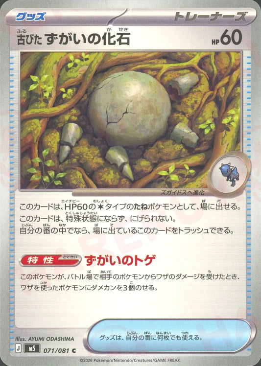 古びたずがいの化石(C){グッズ}〈071/081〉[M5]