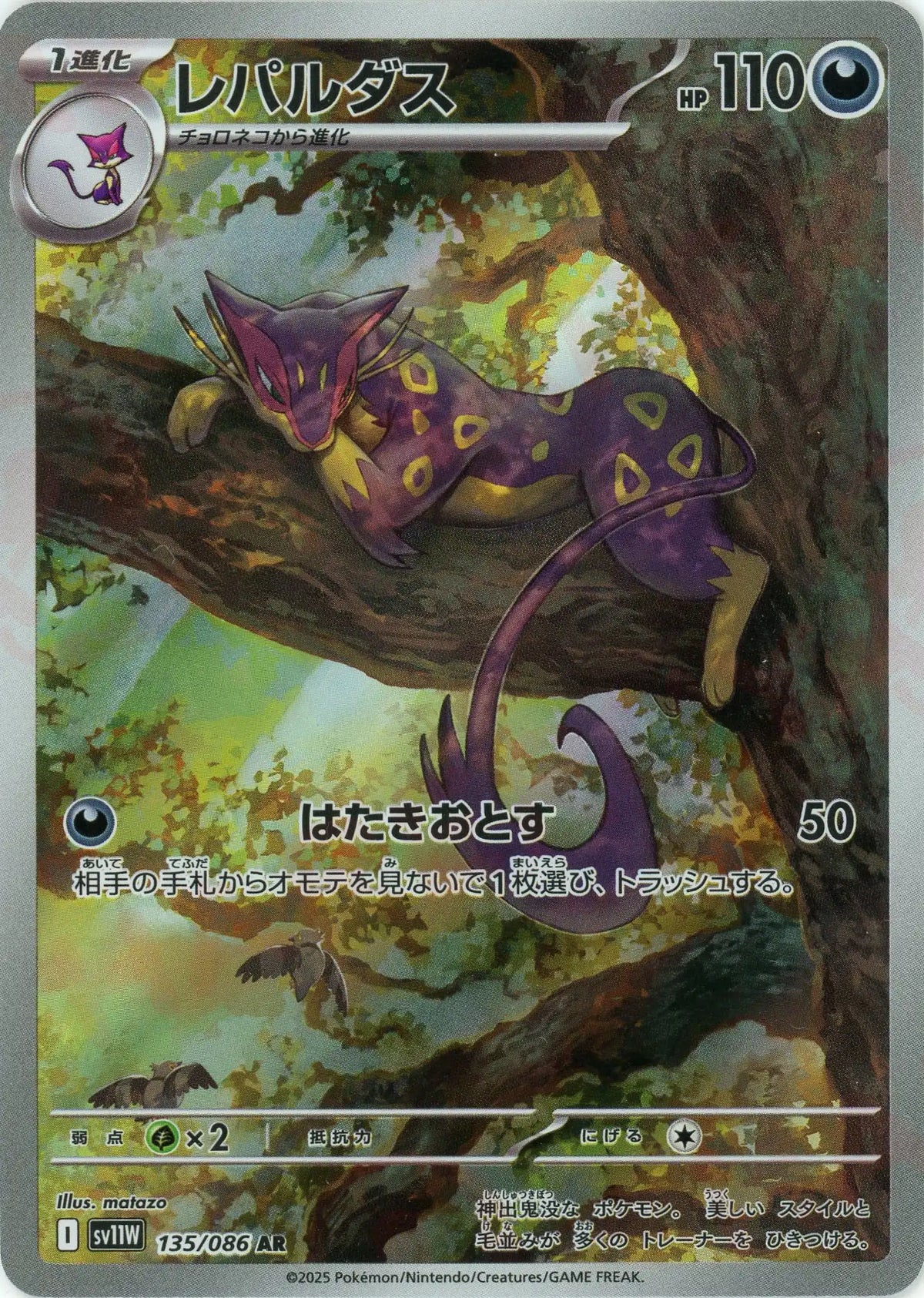 レパルダス(AR){悪}〈135/086〉[SV11W]